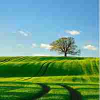 专​业‍网​站​模‍板​方​法​